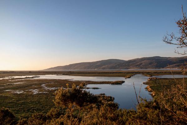 Marsh land nature reserve behind Aberdyfi