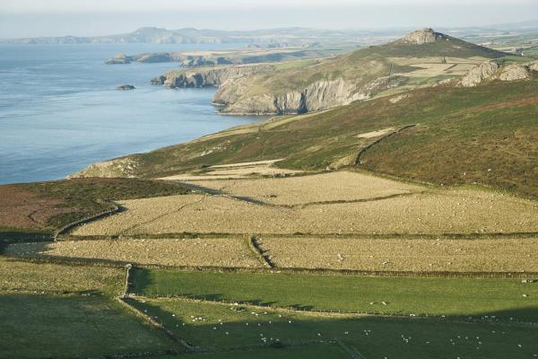 St Davids Peninsular