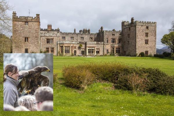 Muncaster Castle with Steppe Eagal and handler insert