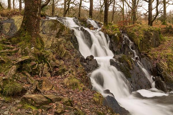 Tom Ghyll (or Gill) waterfalls on way to Tarn Hows