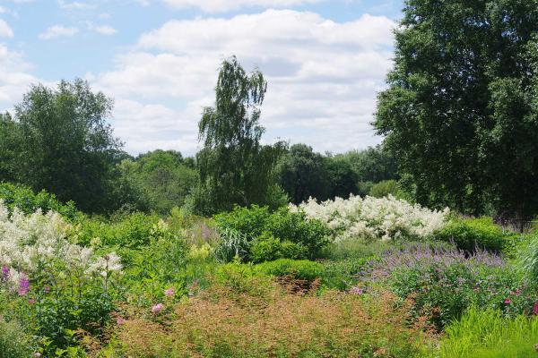 View of Pensthorpe gardens