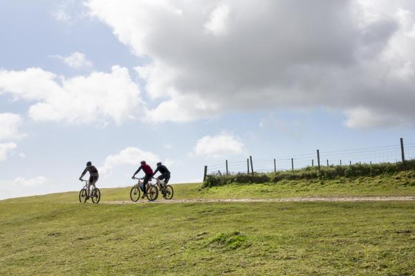 Mountain Biking in the South Downs