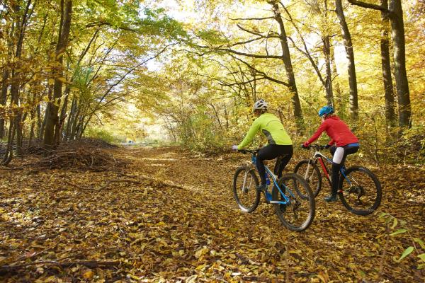 Cycling in Penzance