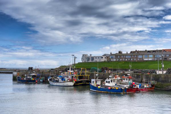 Seahouses