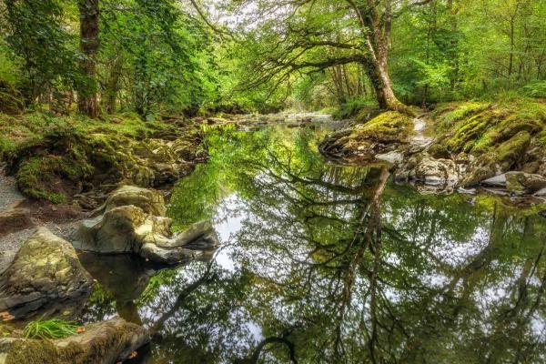 Stream near Betws-y-Coed, Snowdonia