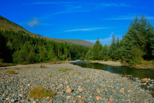 Wild Ennerdale Valley project