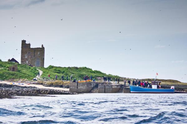 Farne Island Boat Trips in Berwick 