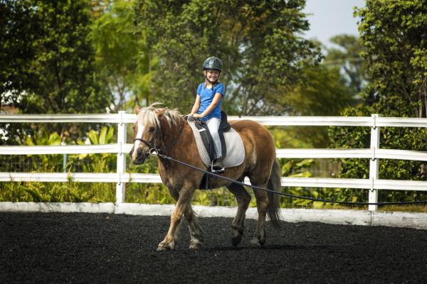 Cantref Adventure Farm