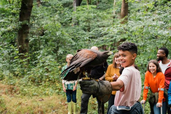 Bird of prey on visitor's arm