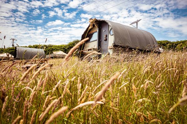 Landpod in camping field at YHA Eden Project