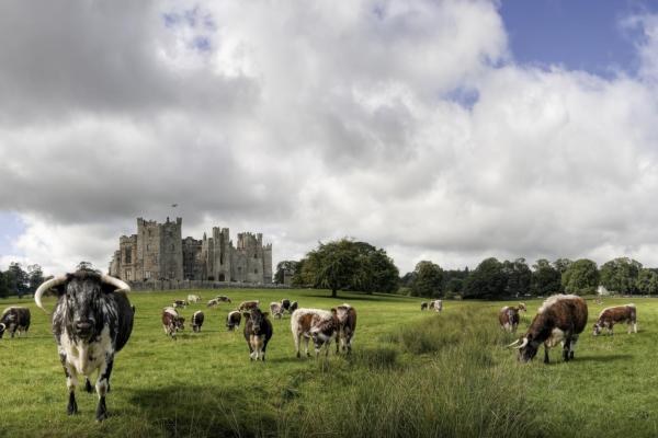 Raby Castle