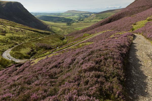 Mountain Biking in the Northern Fells