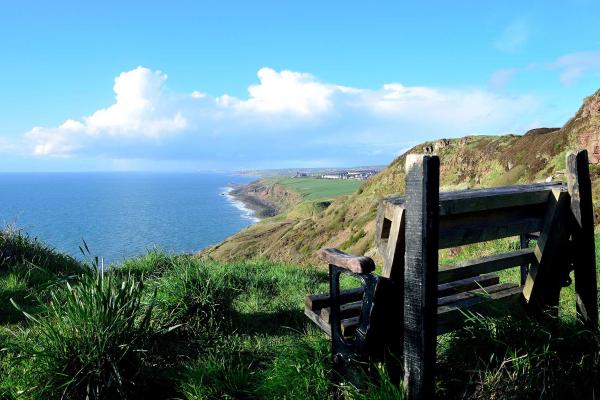 Whitehaven bench