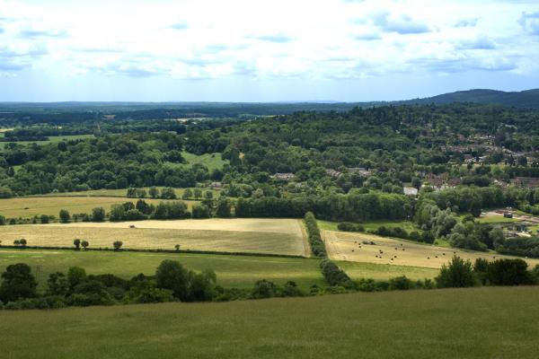 Walking and Rambling in Tanners Hatch Surrey Hills