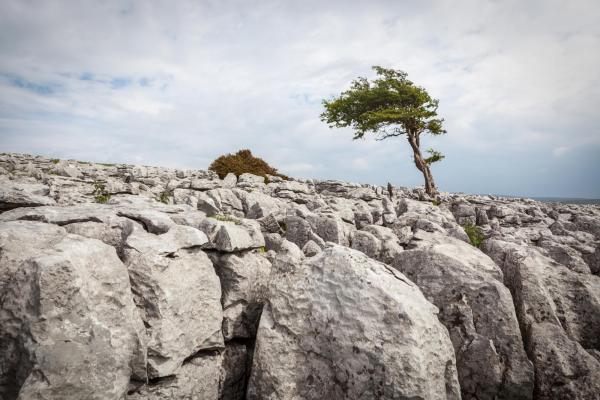 Climbing in Ingleton 