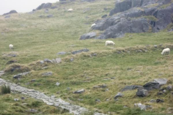 Climbing in Snowdon Pen-y-Pass