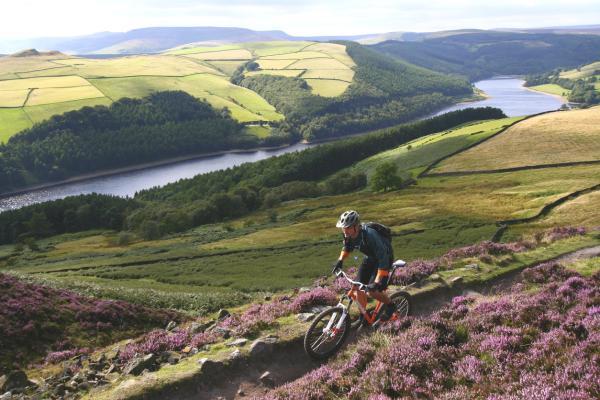 Cycling in National Forest 