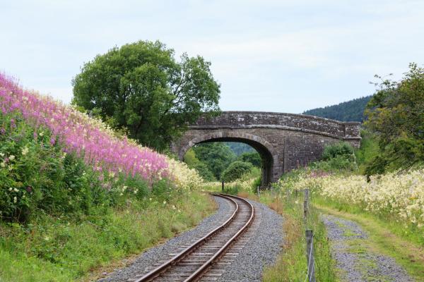 South Tynedale Railway