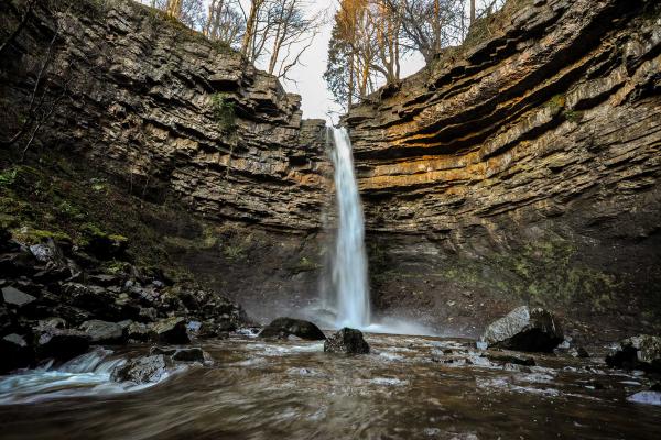 Hardraw Force