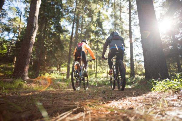 Mountain biking in Windermere