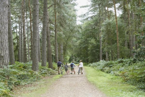 Cycling in Wye Valley