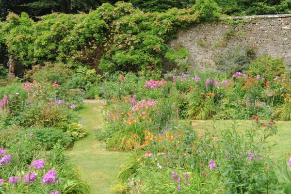 Docton Mill Gardens in Hartland, Devon