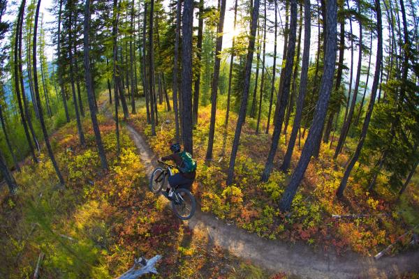 Mountain Biking in Snowdonia 