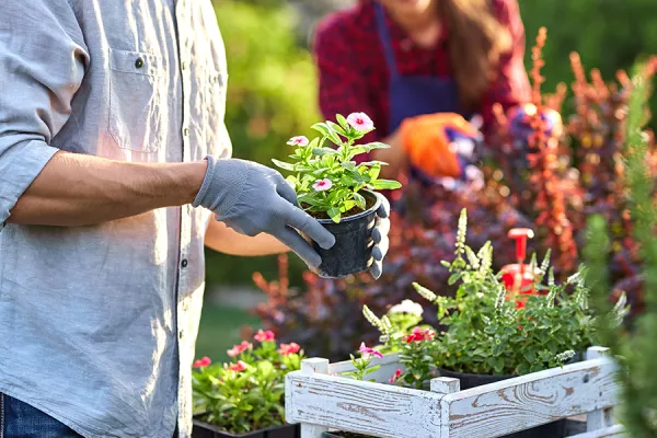 Man gardening 