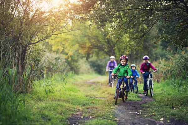 Forest Leisure Cycling