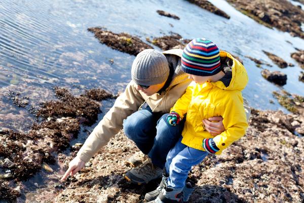 Experience Rock Pooling And Fossil Hunting | YHA