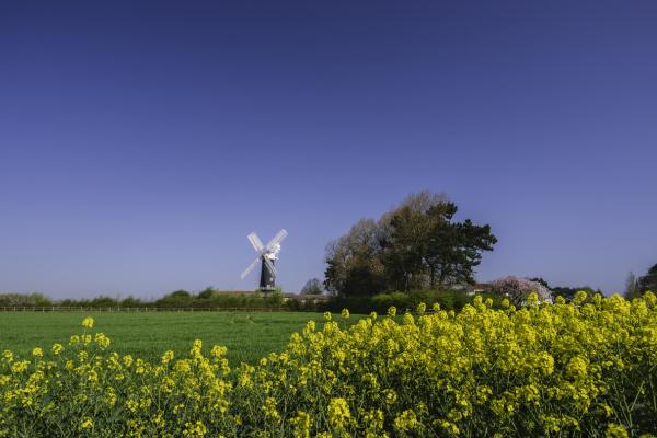 Skidby Mill and Museum