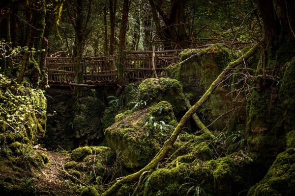 Puzzlewood