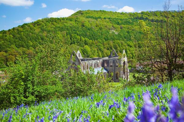 Tintern Abbey