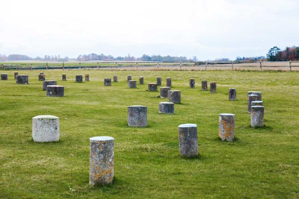 woodhenge cholderton