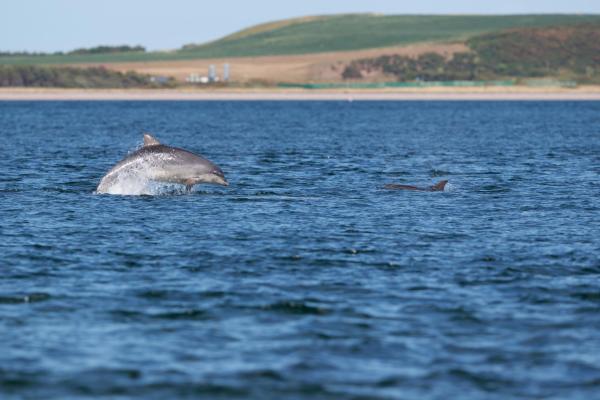 Gower Coast Adventures