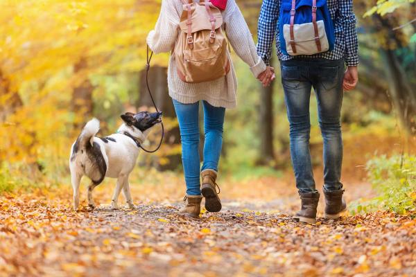 Couple walking in woods