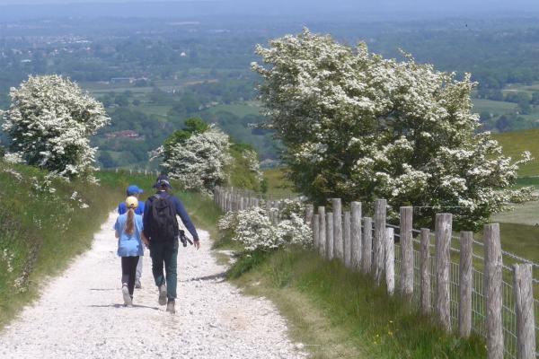 Walk from YHA Truleigh Hill to Devil's Dyke