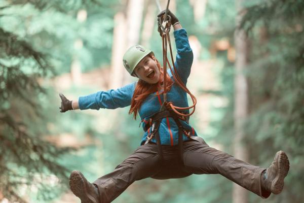 Zipwire through the trees