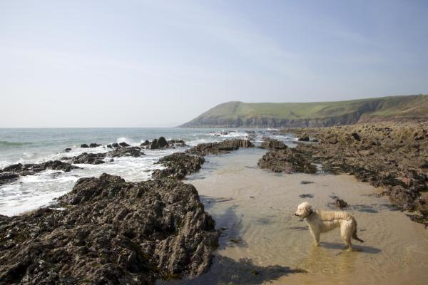 Walking and Rambling in Manorbier