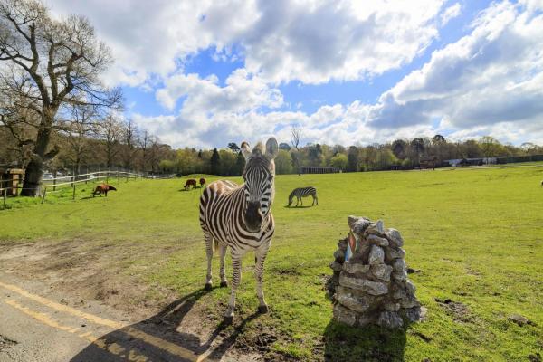 West Midlands Safari Park