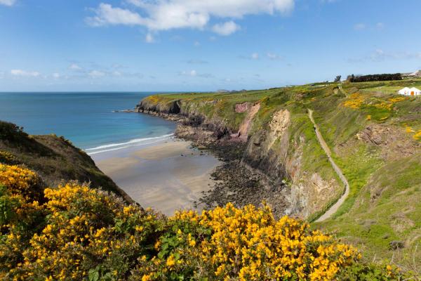 View of a beach surrounded by green hills looking out to the sea