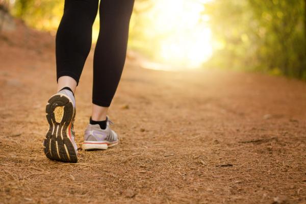 Running in Sherwood Forest 