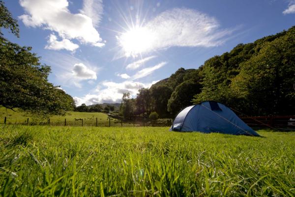 Camping tent in a field in the sunshine