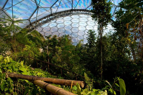 Eden Project