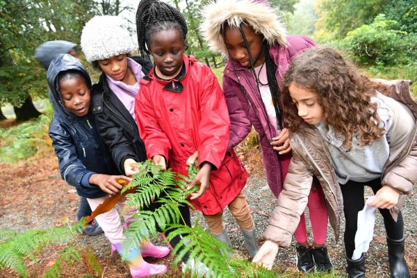 School group outdoors interacting with nature