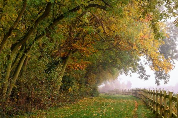 Capstone Farm Country Park