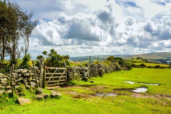 Dartmoor view