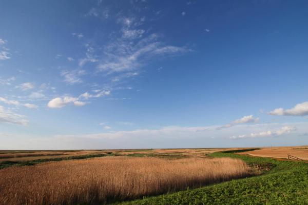 Cley next the sea, nature reserve marshes