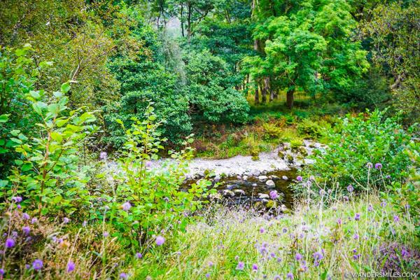 River near YHA Borrowdale