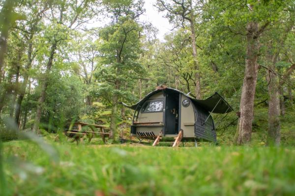 Landpod in forest